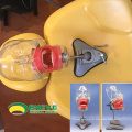 DENTAL02 (12559) Cabeça de Unidade de Simulador Dental Simulador Phantom